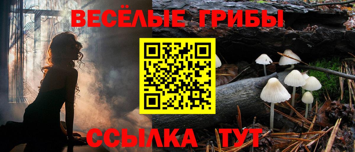 Ростов-на-Дону  Галлюциногенные грибы мицелий  Вход с VPN 