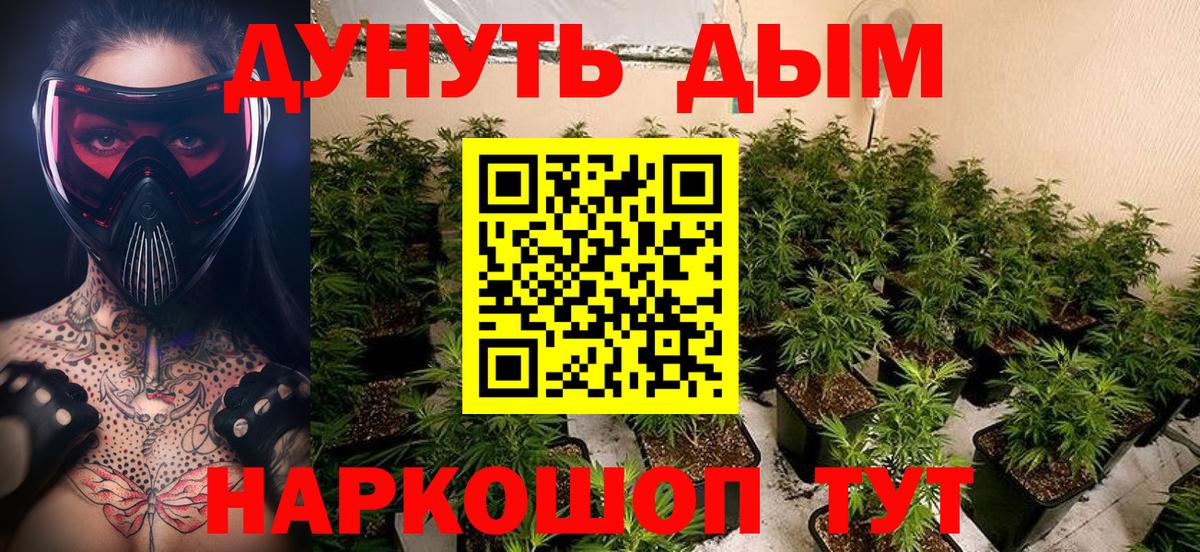 Марихуана планчик Ростов-на-Дону